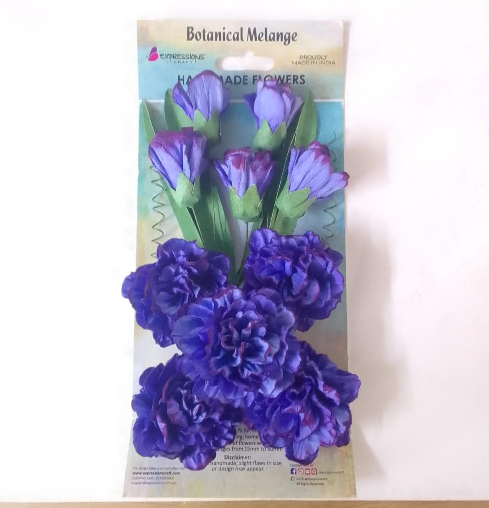 Carnation Purple